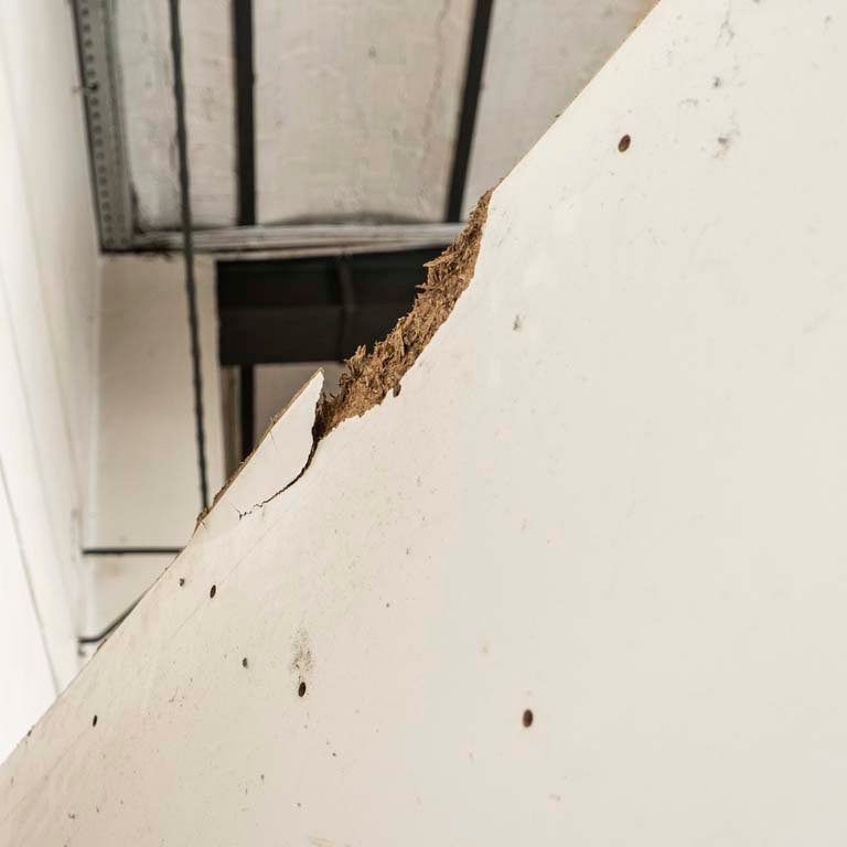 Item 2109181 - Image 2