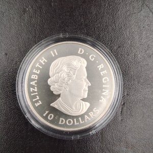 Moneda de Plata Canadiense "Gran Garza Azul" 150 Aniversario - $10 - imagen 7
