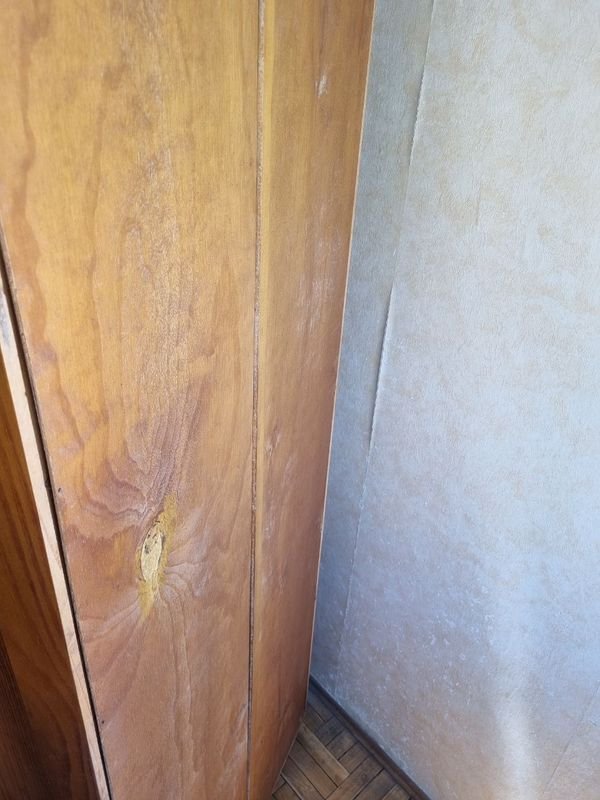 Item 875935 - Image 3