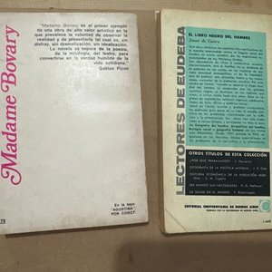 Lote de 2 Libros: Madame Bovary de Flaubert y El Libro Negro del Hambre de Josué de Castro - imagen 2