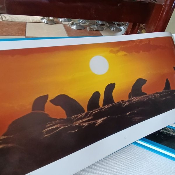 Libros ilustrados sobre Punta del Este - Edición bilingüe - imagen 6