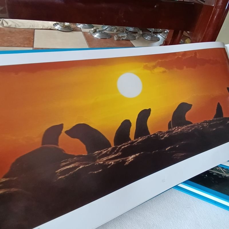 Libros ilustrados sobre Punta del Este - Edición bilingüe - imagen 6