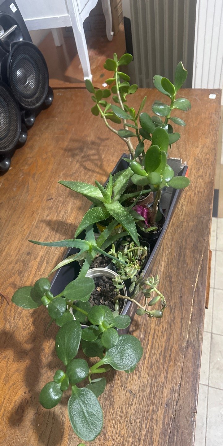 Item 63540 - Image 0