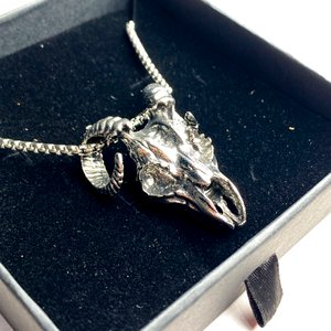 Collar con Dije Metálico de Cráneo de Carnero en Estuche Negro - imagen 3