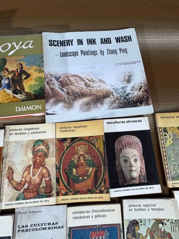 Libros y materiales de estudio en español - imagen 6