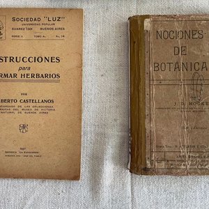 Lote de Libros Antiguos de Botánica, Insectos y Agricultura (1901-1940) - imagen 2