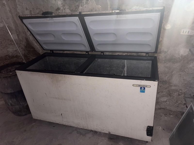 Item 868819 - Image 0