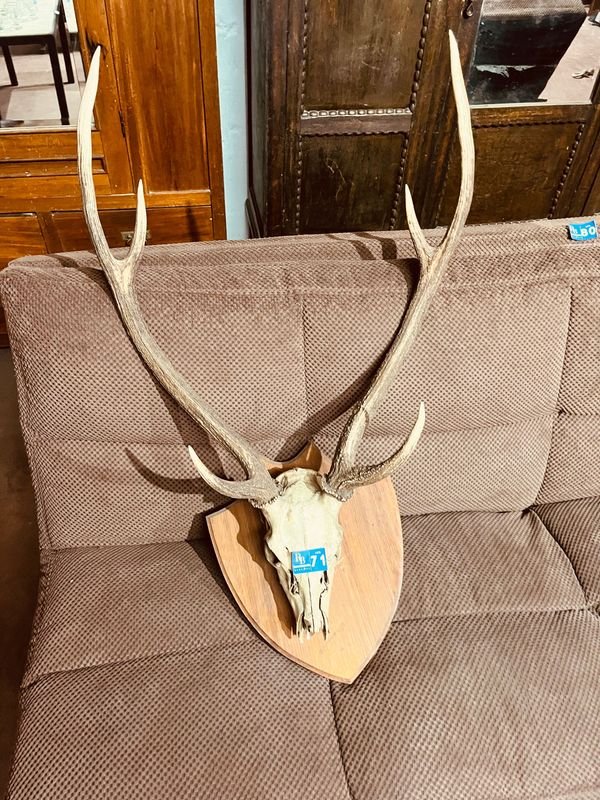 Item 846891 - Image 0