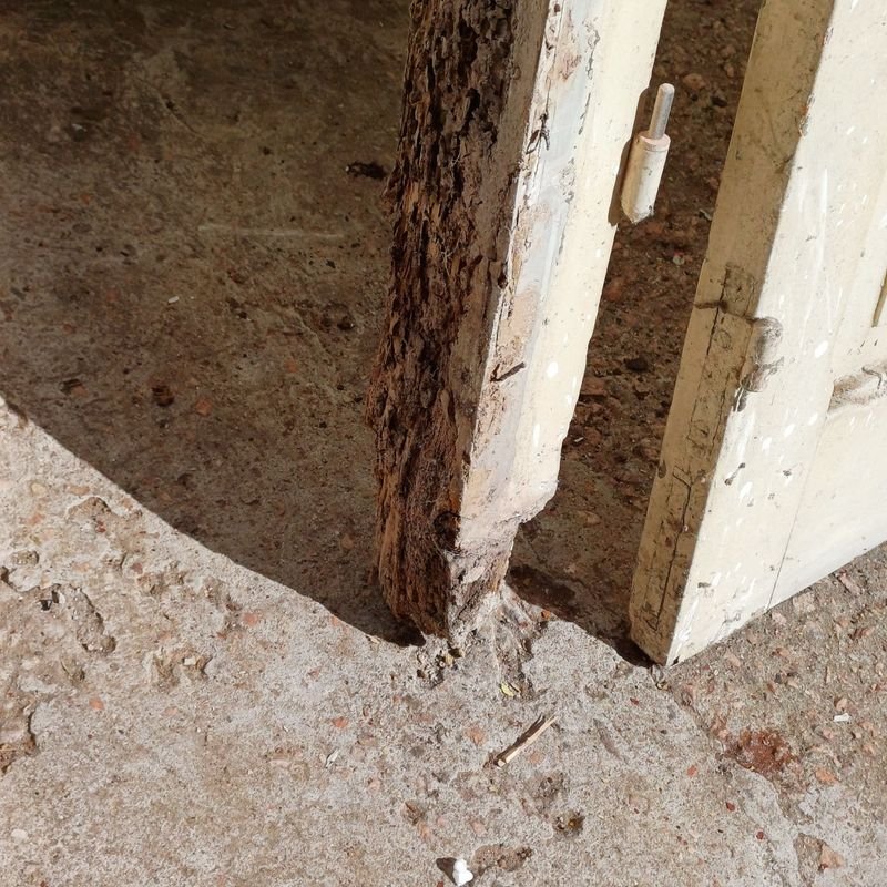 Puerta de tablero en cedro con vidrios estilo colonial y marco de pinotea - imagen 5