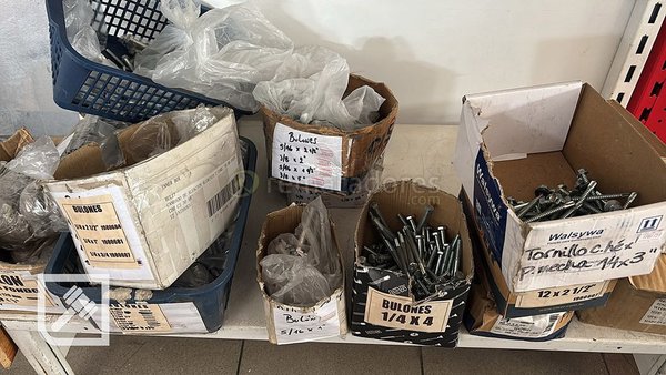 Lote de Bulones y Tornillos Varios