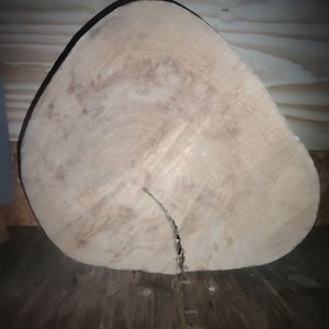 Tapa de Tronco de Madera para Mesa o Superficie - imagen 2