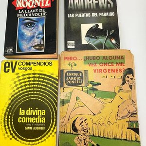 Lote de 4 Libros Usados: Koontz, Andrews, Dante y Jardiel Poncela - imagen 2