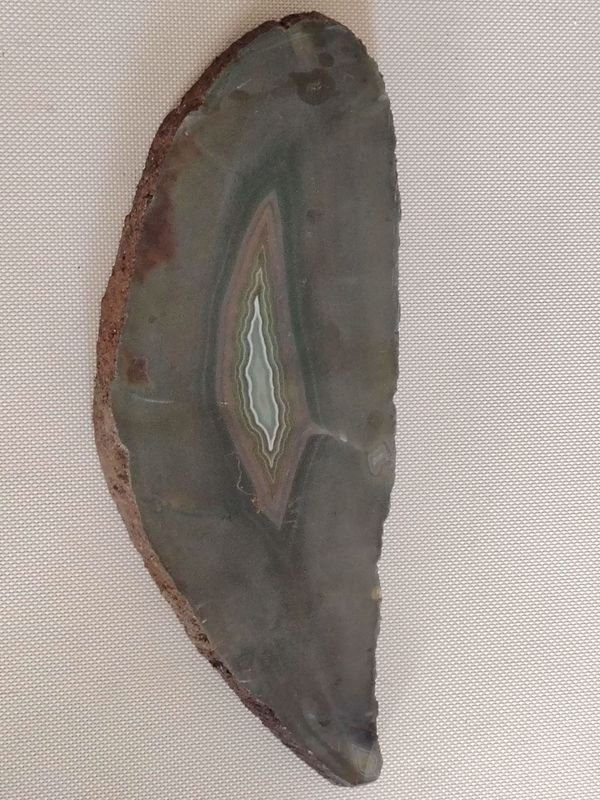 Item 848339 - Image 5