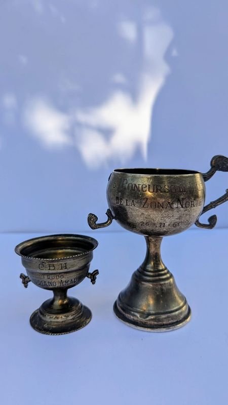 Item 882526 - Image 0