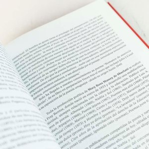 Libro "De Tierra Adentro": Escritores, Músicos y Artistas Plásticos del Interior Uruguayo - imagen 2