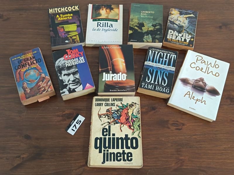 Lote de 10 Libros de Narrativa, Novelas y Cultura General