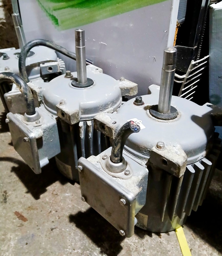 Motores trifasicos tipo ventilador para venta - imagen 3