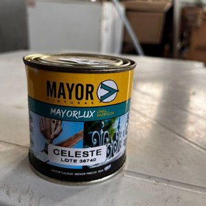 Lote siguiente: Pintura Sintética Celeste Mayorlux 225 ml