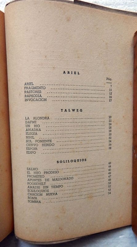 Libro de poesías de Uruguay González Poggi - imagen 8