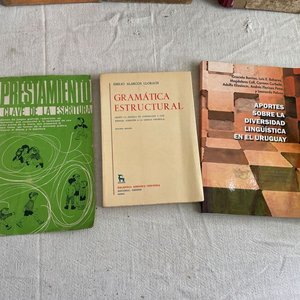 Lote de Libros de Idioma Español y Lingüística - imagen 4