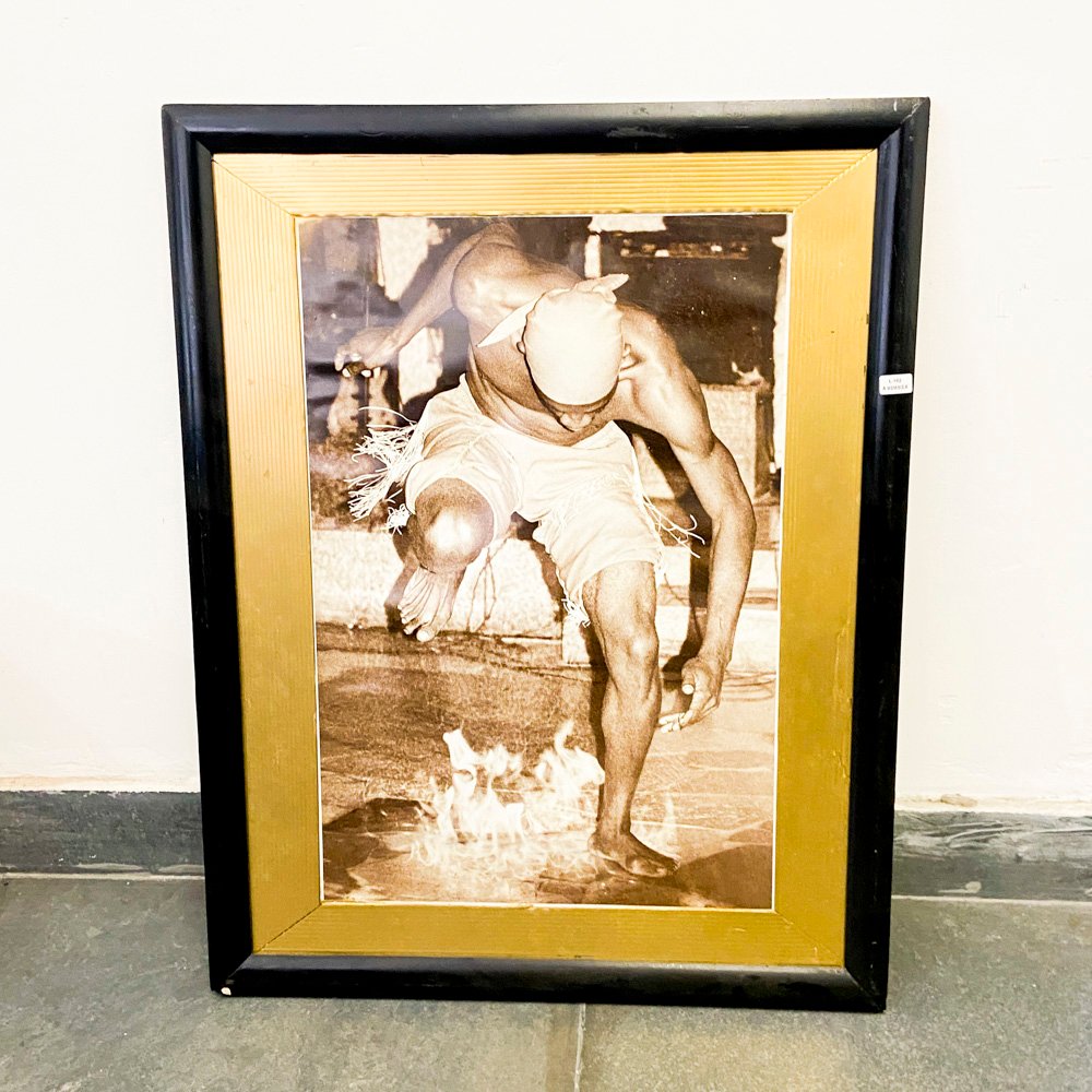 Lote anterior: Foto ganadora en la exposición palacio costanzi en trieste (italia)