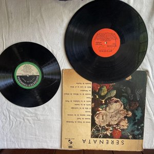 DISCOS DE VINILO - imagen 1