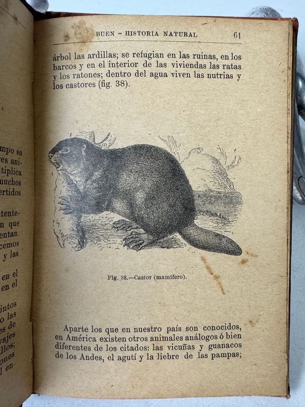 Libro de Historia Natural editado por Odon de Buen - imagen 3