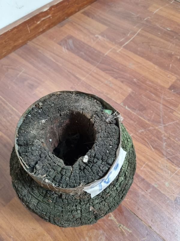 Item 892241 - Image 1