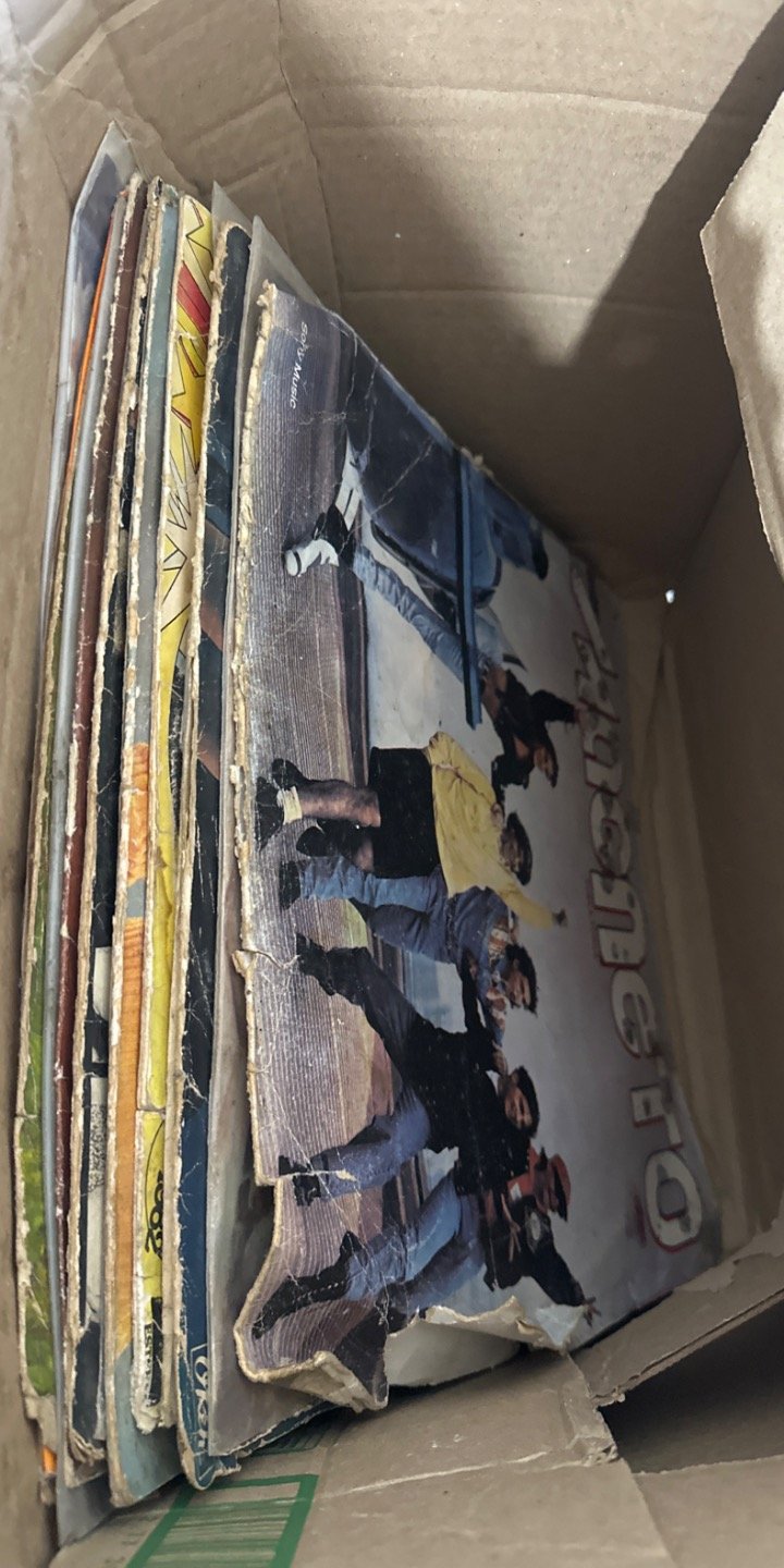 Lote de Discos de Vinilo Antiguos