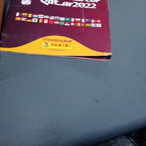 Nueve piezas: Album de FIFA Qatar 2022, éste está incompleto + 6 Perchas de madera para niño + Dos perchas en buen estado. - imagen 3