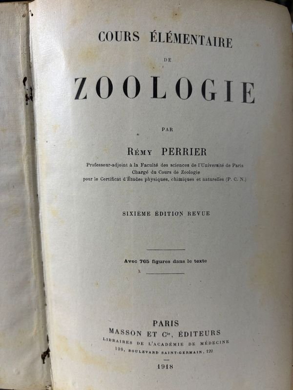 Libros de Zoología del Siglo XIX y Estatua de León - imagen 3