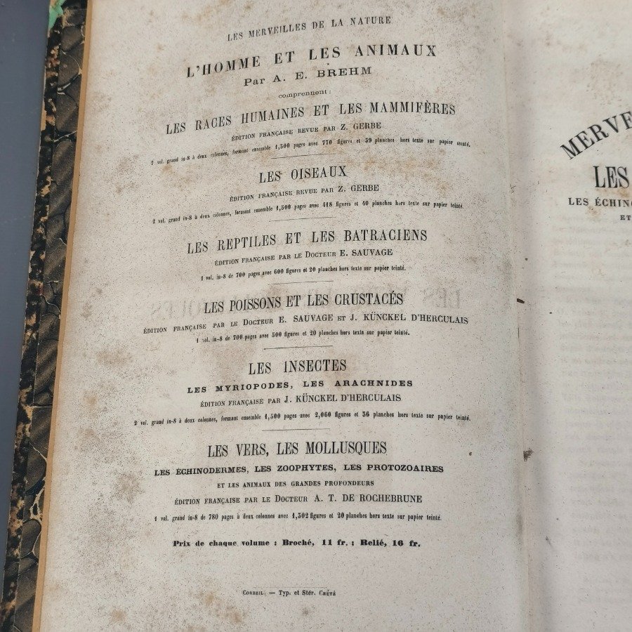 Libro antiguo de historia natural con encuadernación en cuero - imagen 8