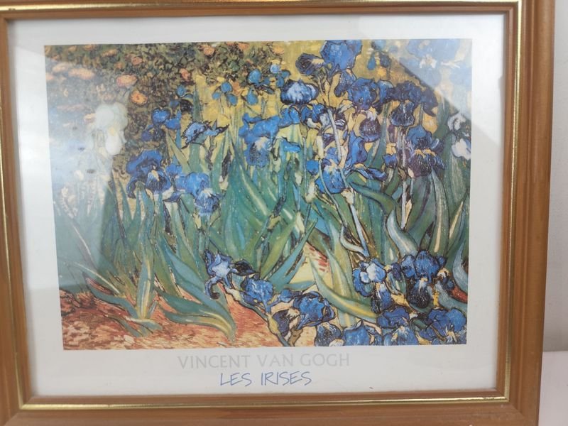 Item 841751 - Image 0