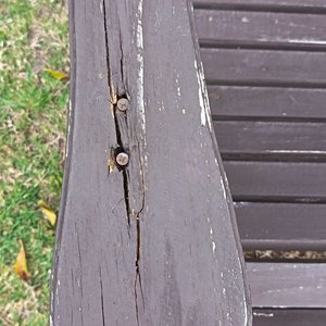 Par de Sillas de Jardín Adirondack de Madera Estilo Rústico - imagen 5