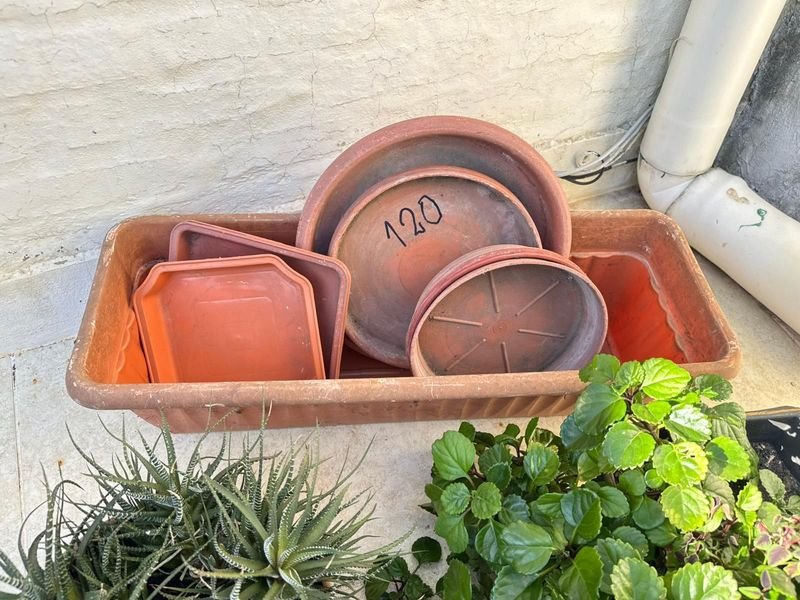 Item 892376 - Image 1