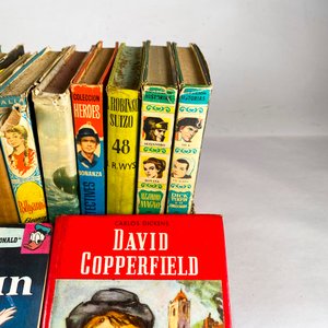 Lote de Libros de Cuentos y Novelas Clásicas - imagen 5
