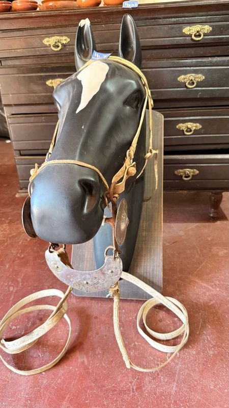Caballo de Cabeza con Freno y Riendas - imagen 3