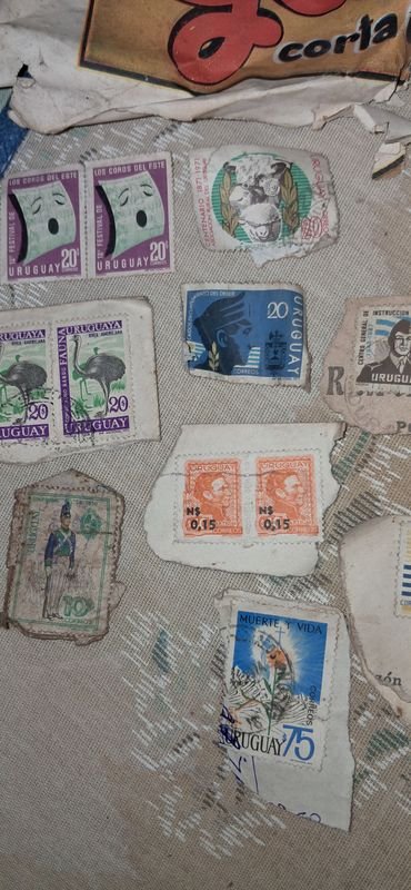 Item 880833 - Image 17