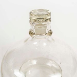 Mosquero de Vidrio Transparente con Tapa - imagen 2