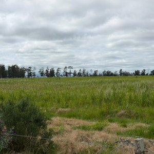 3 Fracciones de Campo en Capilla de Cella - imagen 5