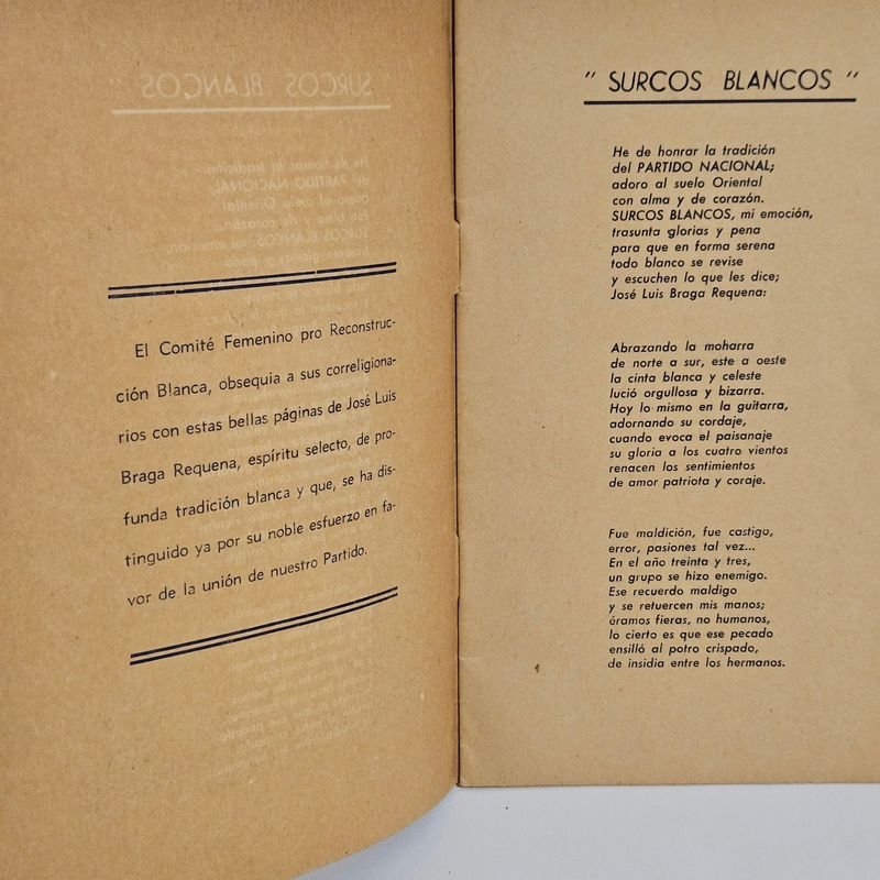 Item 899824 - Image 7