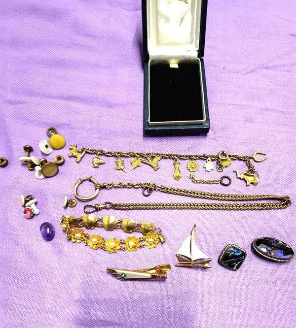 Lote de Prendedores, Pulseras y Dijes Variados - imagen 1
