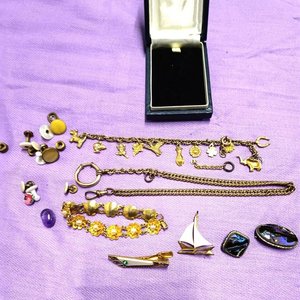 Lote de Prendedores, Pulseras y Dijes Variados - imagen 1