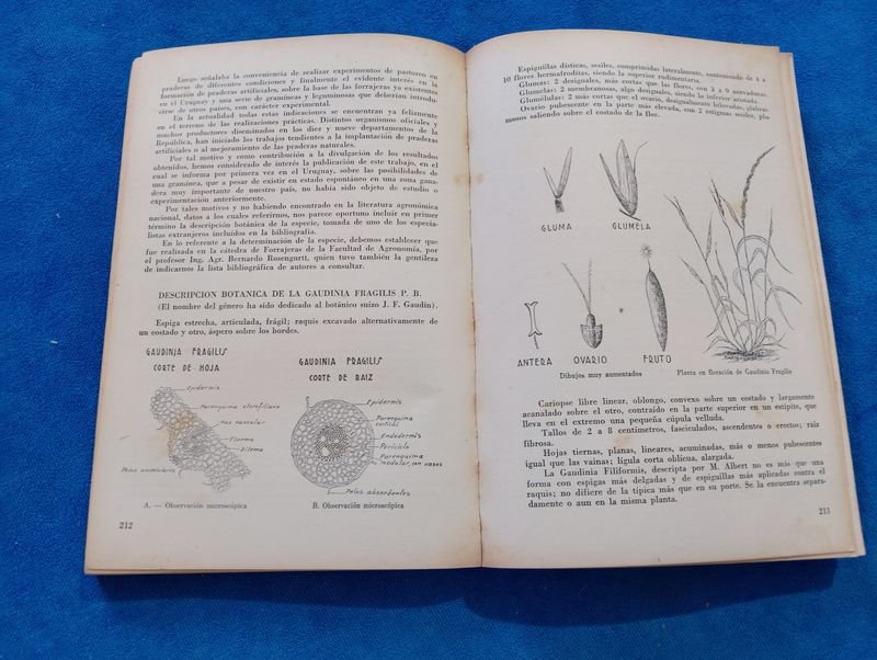 Item 882066 - Image 2