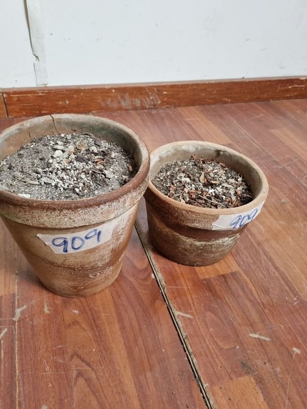 Macetas de barro antiguas para jardín - imagen 2