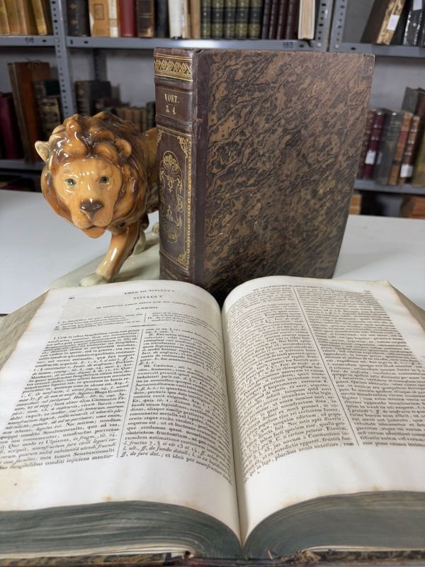 Item 879453 - Image 3