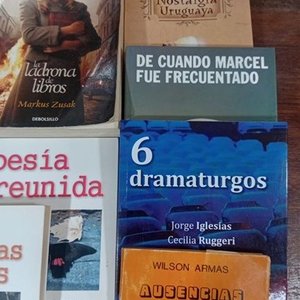 Lote de 16 Libros: Narrativa, Poesía, Teatro y Más - imagen 7