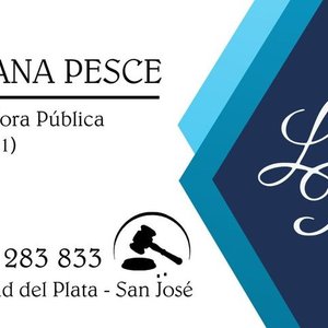 Lote anterior: ....