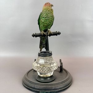 Tintero Decorativo con Figura de Loro - imagen 2
