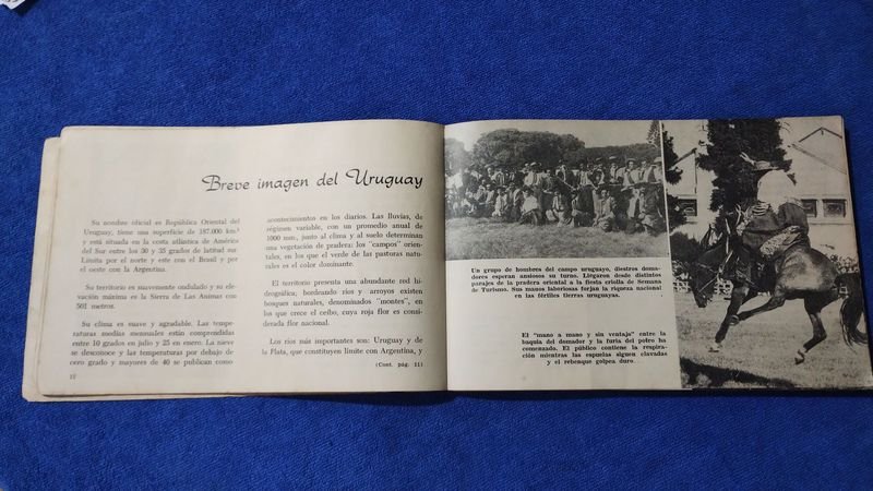 Item 882019 - Image 3